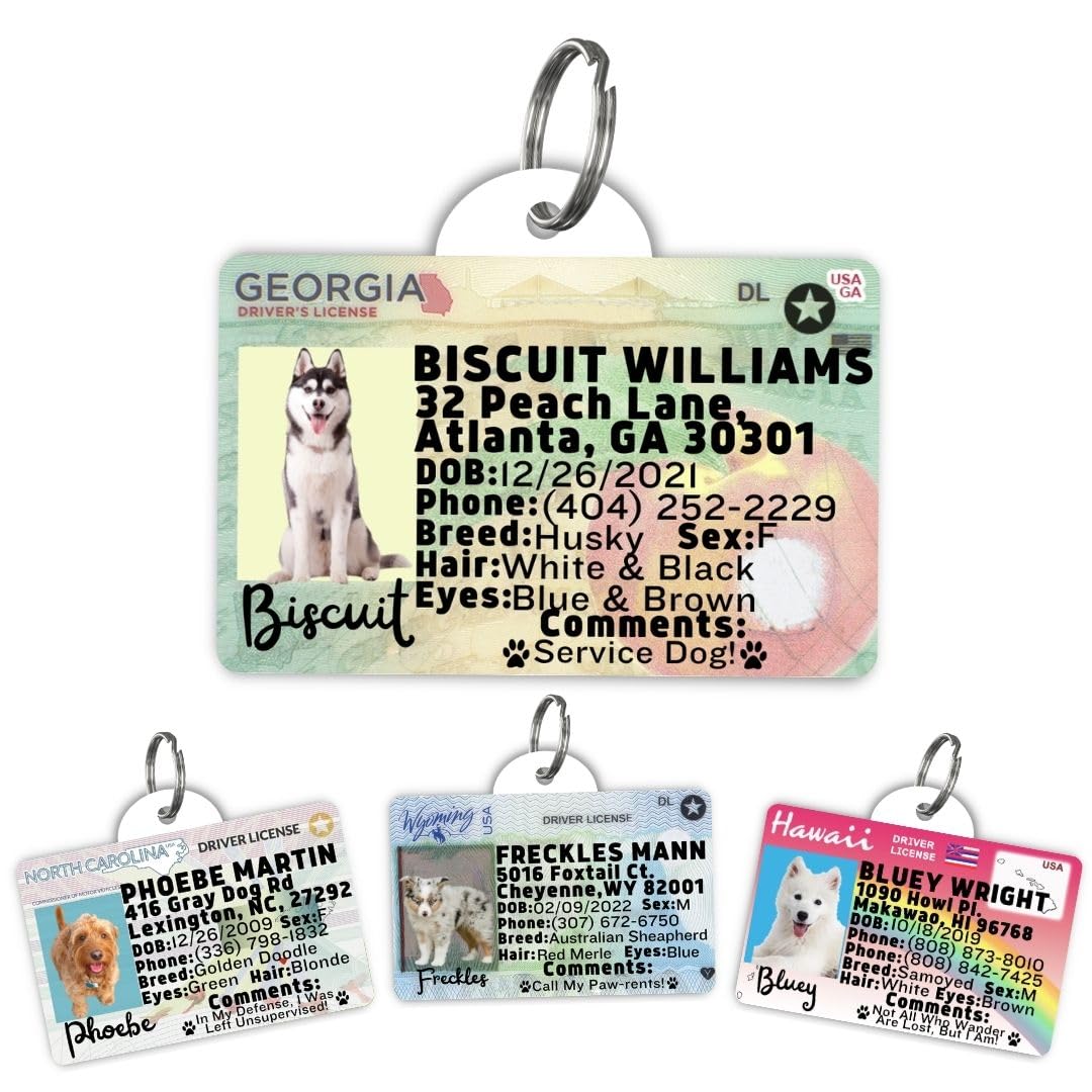 Driver’s License Tags for Dog - Driver License Custom Dog Tag for Pets - Dog ID Tag - Personalized Dog ID Tags - Cat ID Tags - Pet ID Tags for Cats - Personalized Pet ID Tags (Georgia, Tag)