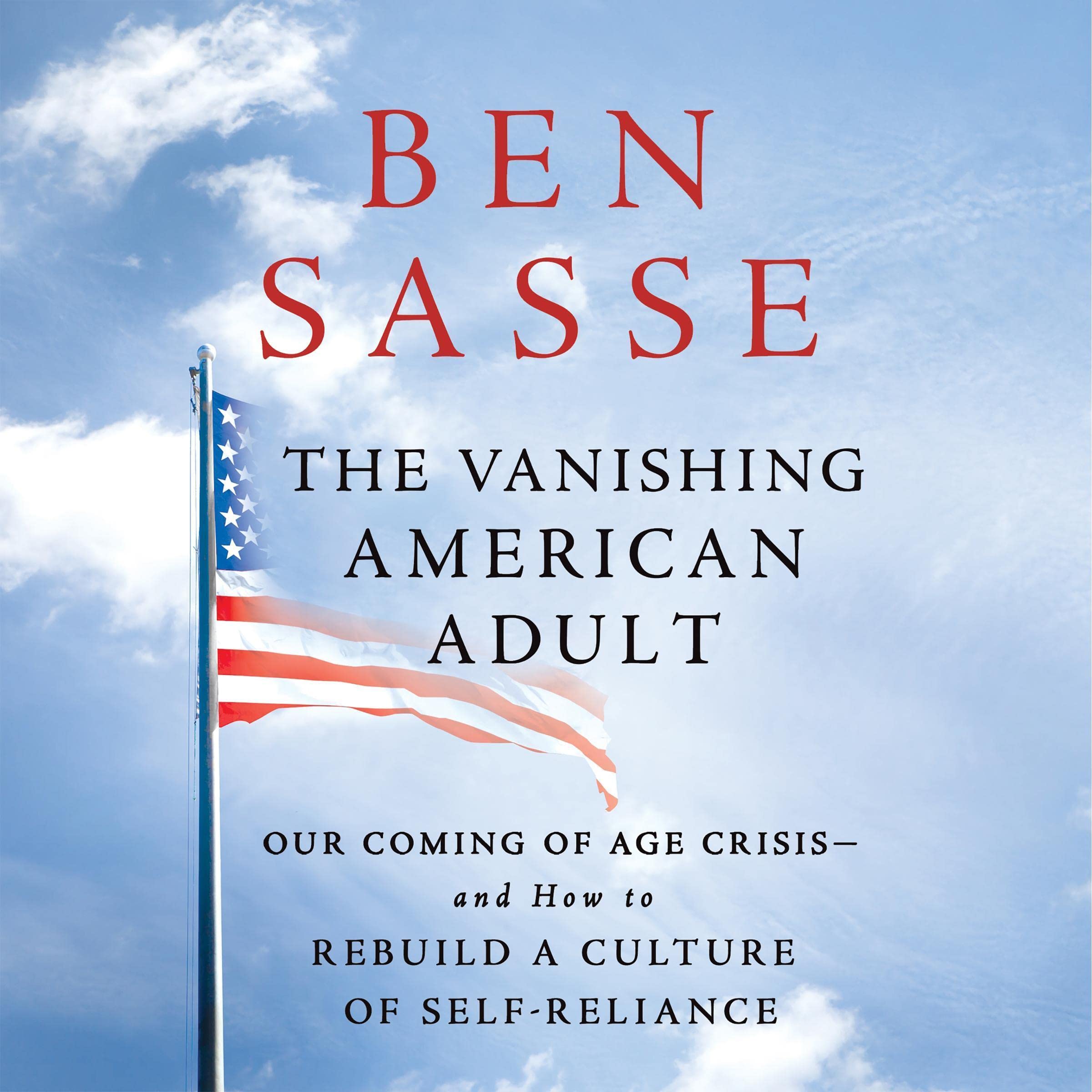 Cover art for The Vanishing American Adult