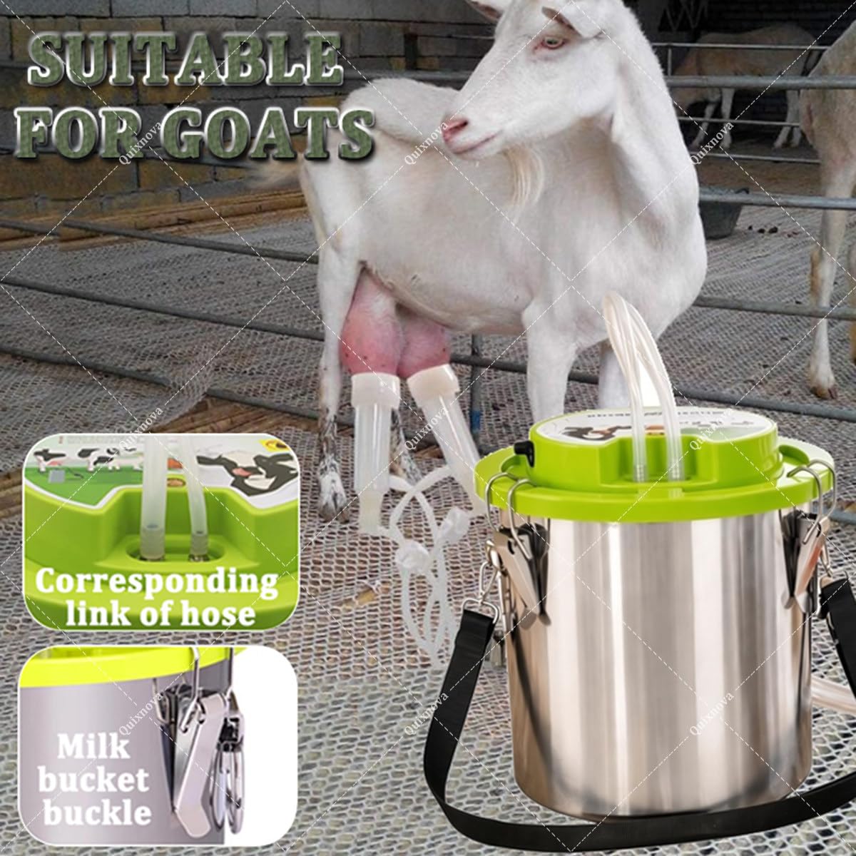 Mungitrice Portatile a Doppia Testa in Acciaio Inox da 8/12 Litri per capre, Mucche, capre e Pecore, Ideale per Uso Domestico e agricolo - Arresto Automatico della mungitura 8L