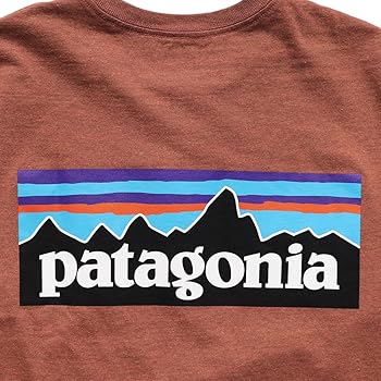 Amazon | [パタゴニア] メンズ ロングスリーブ P-6ロゴ レスポンシビ