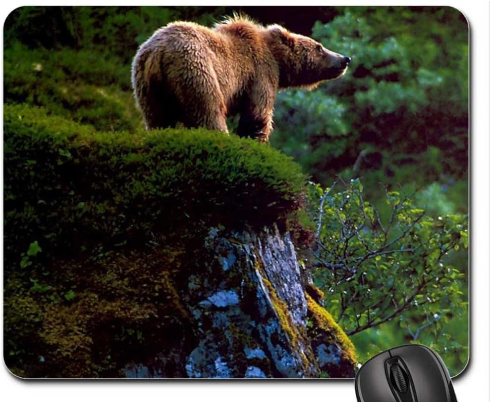 bears Mouse Pad, Mousepad (Bears Mouse Pad)
