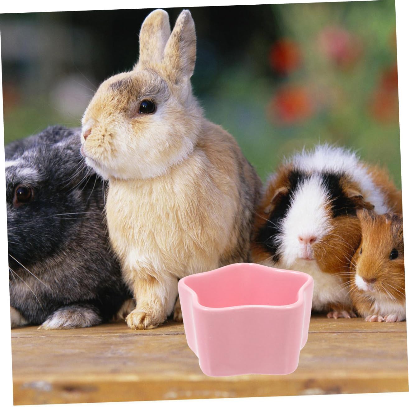 2pcs Small Ceramic Hamster Food Bowls Anti-tip Design Lucky Star and Heart Shapes, Pet Feeding Watering Supplies for Hamsters, Bunnies, and Small Animals