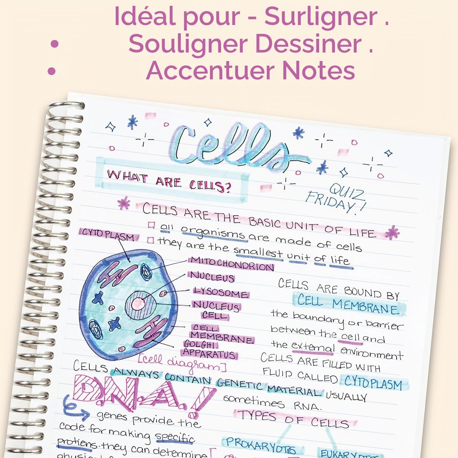Zebra Pen Mildliner Lot de 15 surligneurs à double extrémité, pointes larges et fines, couleurs assorties