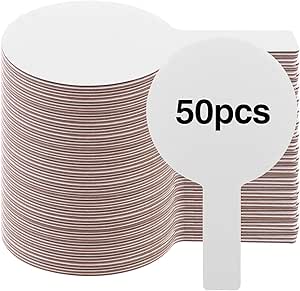 543596_6