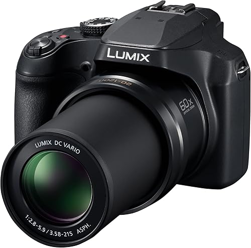 Miniatura 13 de Panasonic LUMIX FZ80D - Cámara digital para apuntar y disparar, grabación de fotovideo 4K con estabilizador de imagen óptica de potencia, cámara de