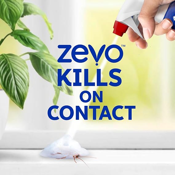 Zevo Trap & Kill Foam Insect Killer for Roaches & Spiders 12 fl oz
