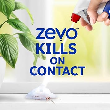Zevo Trap & Kill Foam Insect Killer for Roaches & Spiders 12 fl oz