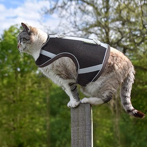 Miniatura 7 de Juego de arnés y correa de malla a prueba de escape, chaleco ajustable para gatitos adicionales, tiras reflectantes de borde completo que