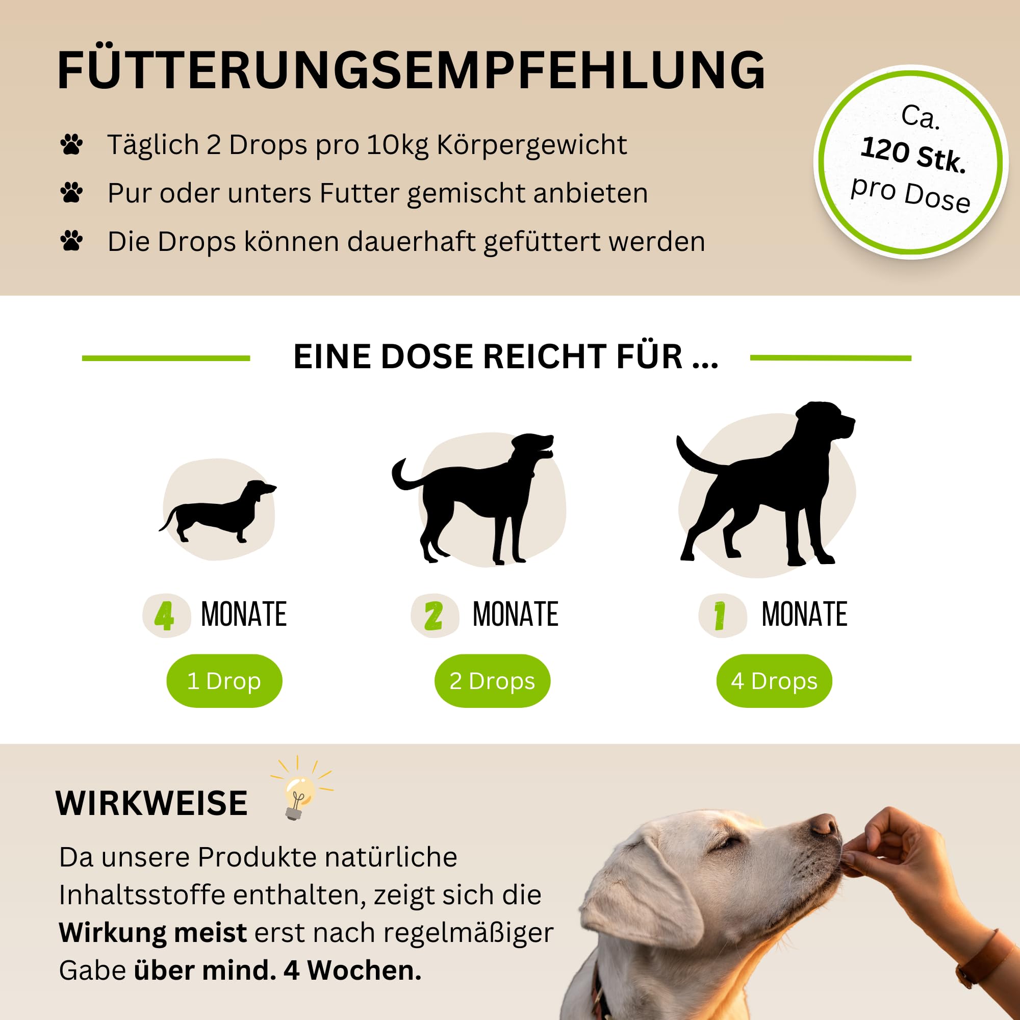 Verdauungs-Drops für Hunde mit Ulmenrinde I Für Normale Verdauung & Kotbeschaffenheit I Unterstützt Darmflora I I Mit Präbiotika & natürlich I ca. 120 STK.