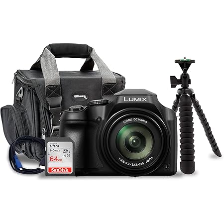 Polaroid Camera Best Buy: Panasonic LUMIX FZ80 Megapixels 4K