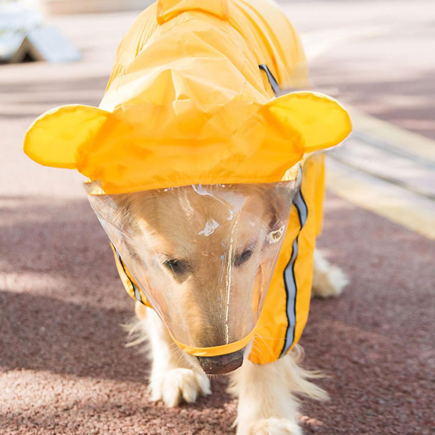 Pet Raincoat Bee Pattern Waterproof Hooded Rain Slicker for Small to Medium Dogs Yellow Animal Design L Size Outdoor Rainwear