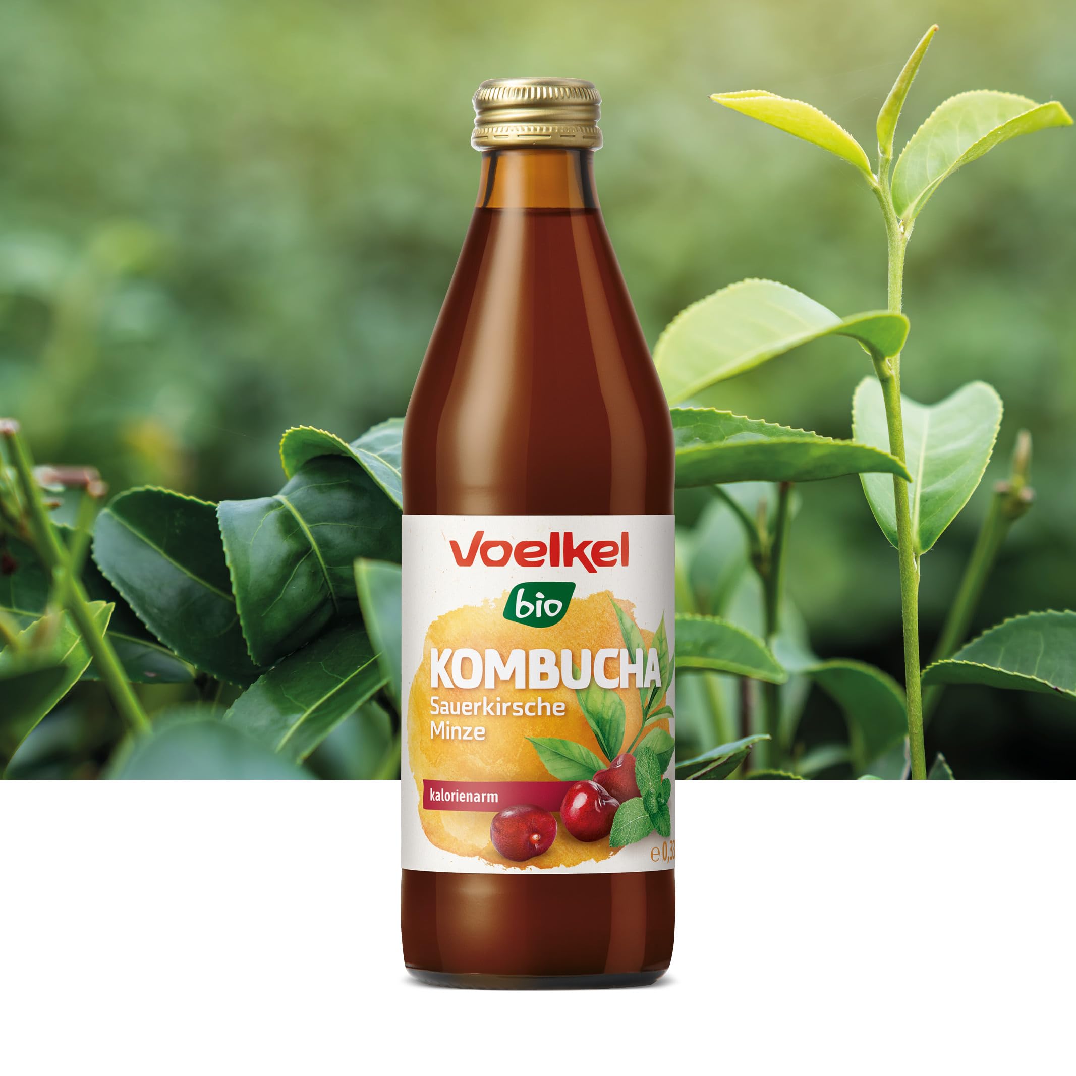 Voelkel - Kombucha Sauerkirsche Minze - 330ml - 12er-Pack - Bioqualität Deutschland