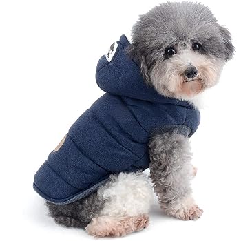 teacup chihuahua clothes amazon