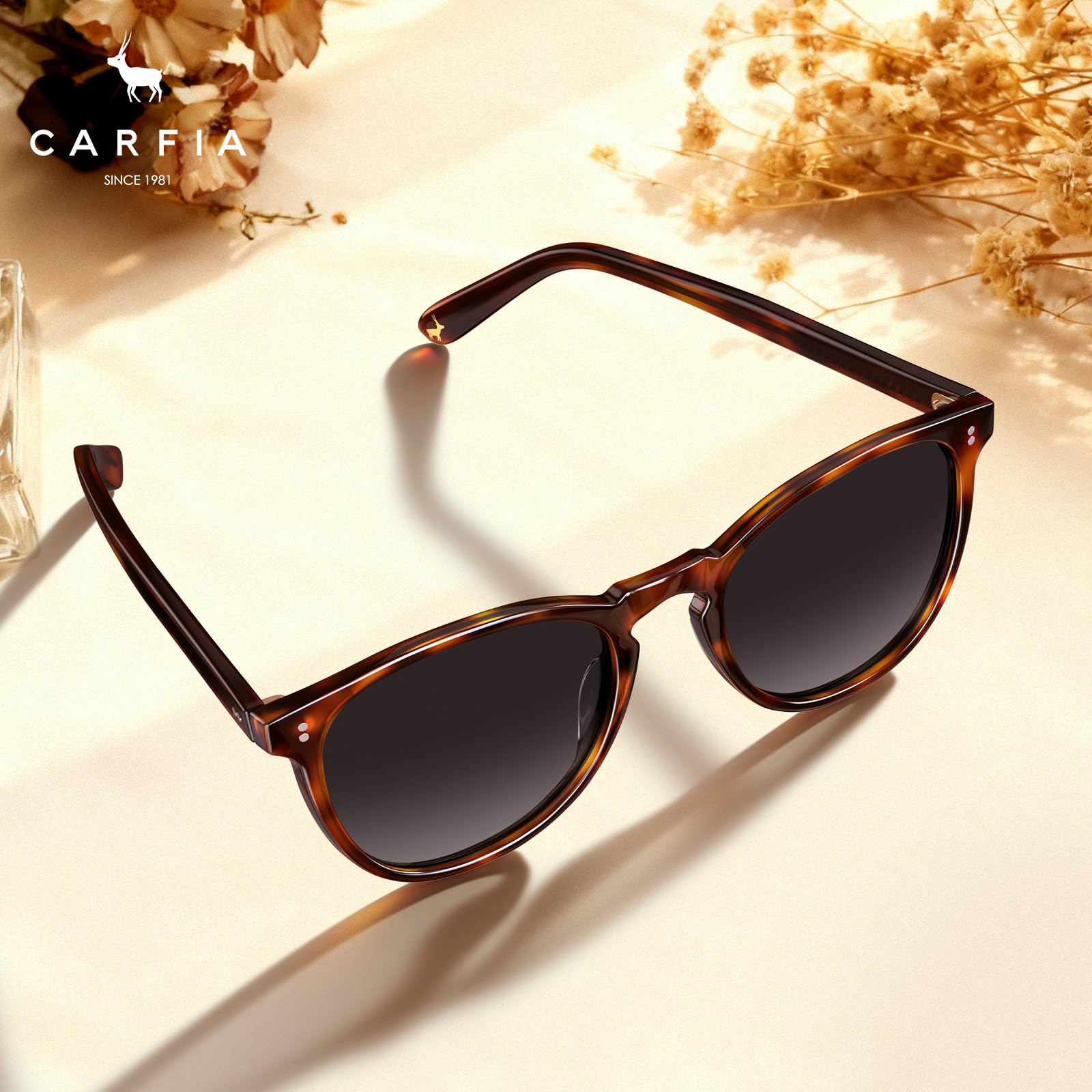 Carfia Lunettes de soleil polarisées à la mode vintage avec motif léopard tortue et protection UV400 avec étui et chiffon de nettoyage CA2307
