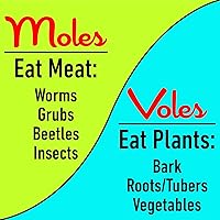 Vista 6 de I Must Garden Mole & Vole Repellent Hose End Concentrate: Professional Strength – Twice The Coverage – All Natural Ingredients – 32oz