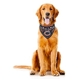 Littlearth NFL Chicago Bears Reversible Pet Bandana, Team Color, Small
