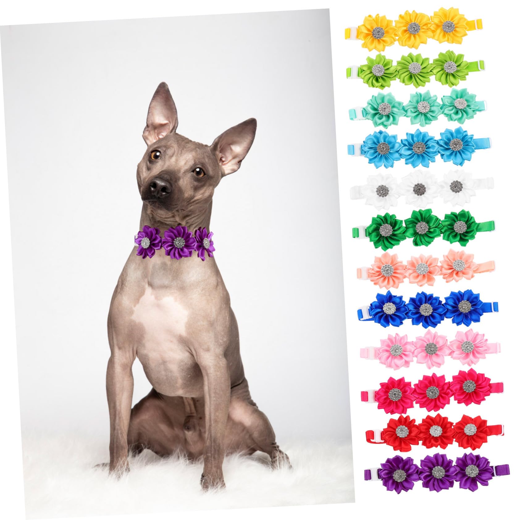 Angoily 3 Set Di Collari Per Cani Con Personalizzati Con Motivo Floreale Per Feste Matrimoni E Festival 12 Pezzi * 3
