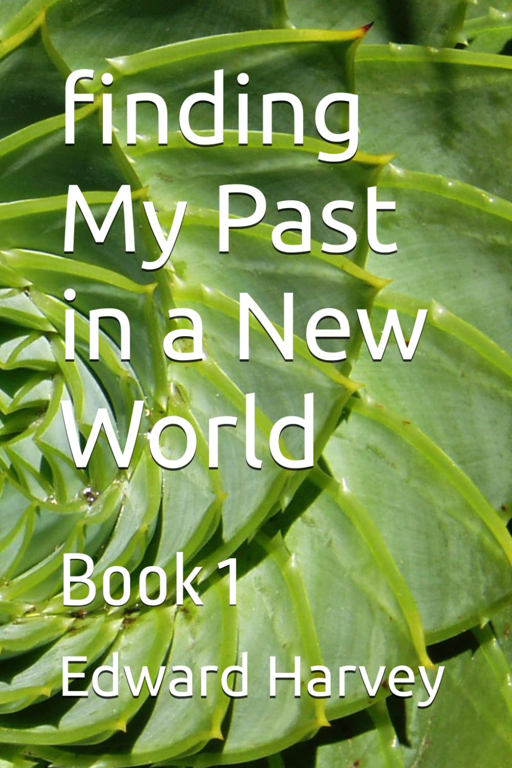finding My Past in a New World