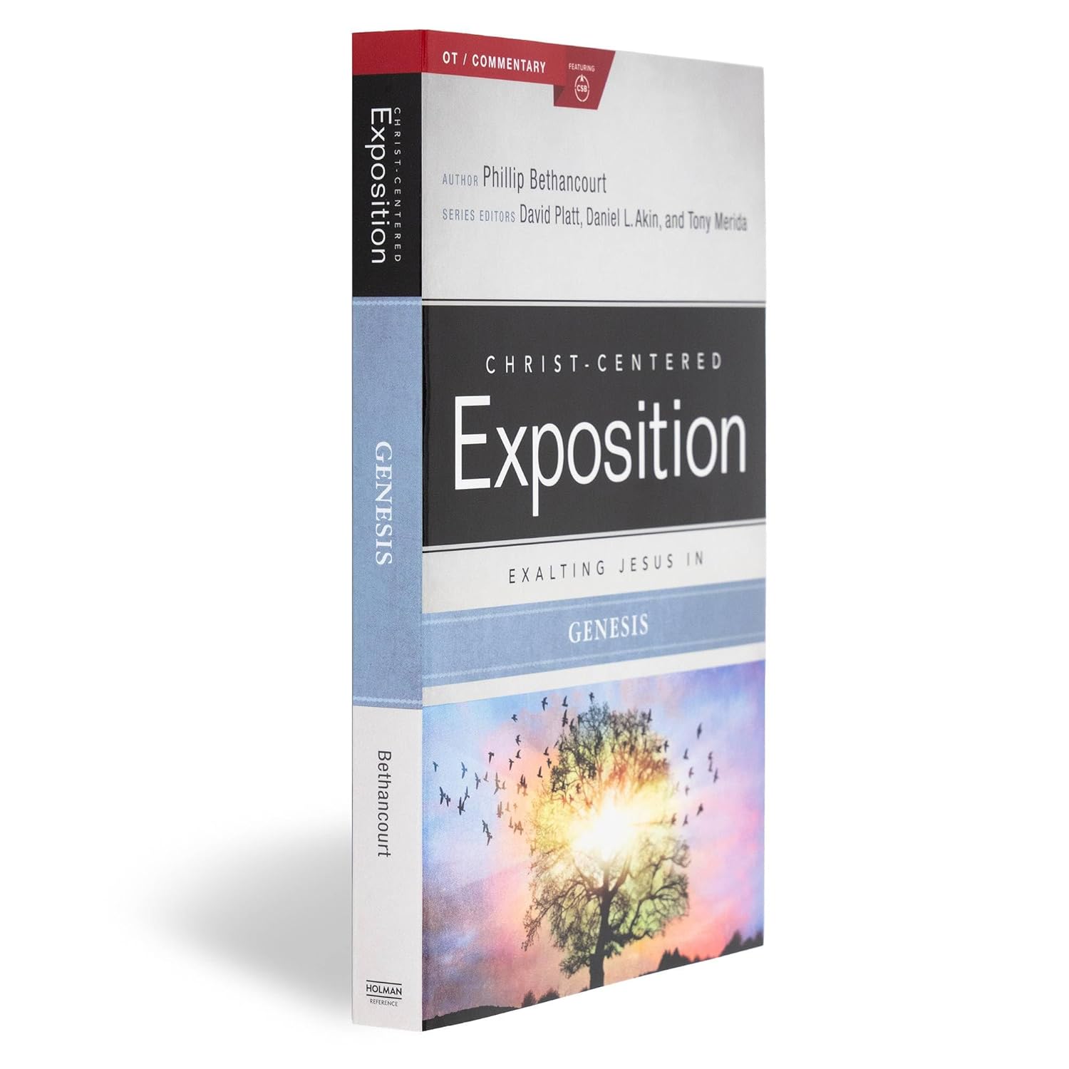 Exalting Jesus in Genesis (Christ-Centered Exposition Commentary) - Image 3