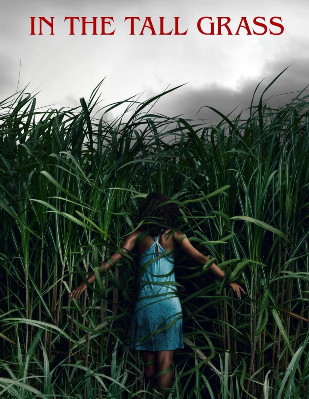 In the Tall Grass: The Screenplay