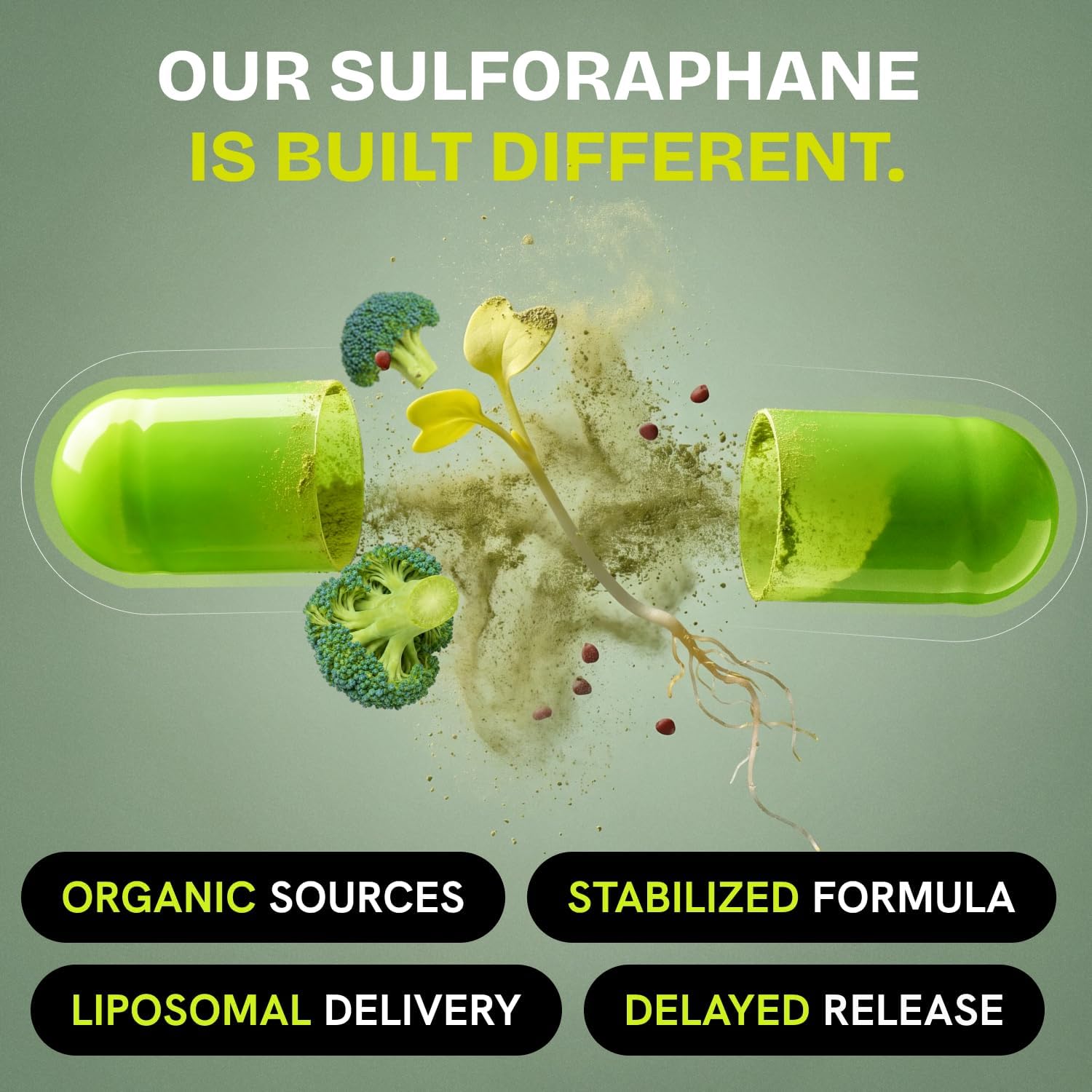 Liposomal Sulforaphane Supplement Organic Broccoli Sprouts, 700mg, 120 Caps — Amazon image 9