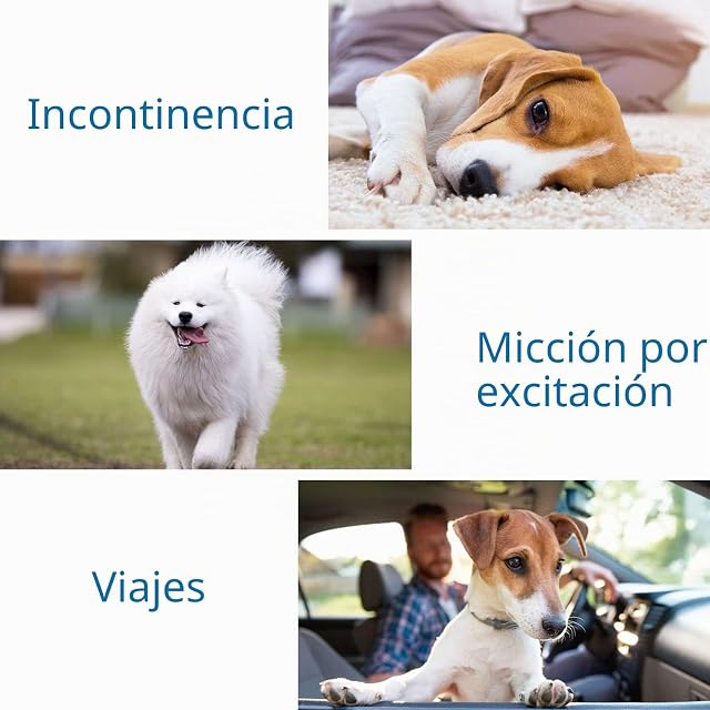 Foto 8 de 8 de Nobleza 36x Pañales para Perros Desechables Hembra Cachorro Entrenamiento Pañales Súper Absorbente Envolturas…