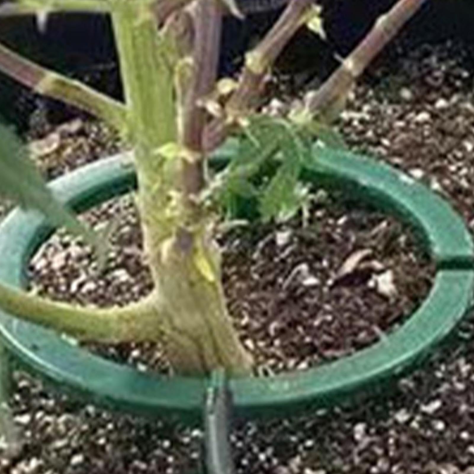 Hydro Halo Anneau d'eau arrosage avec supports jambes serre jardin cour balcon réservoir croissance