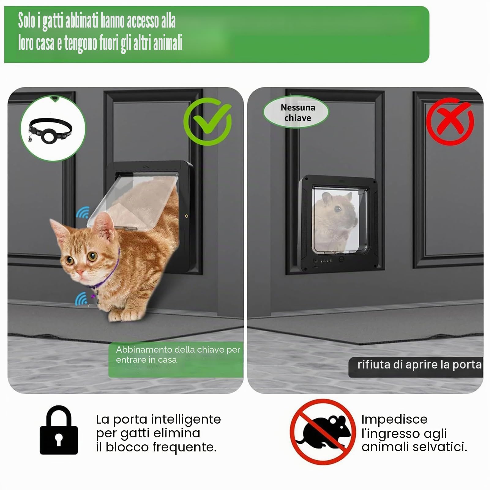 - Porta intelligente per animali domestici a 4 vie con telecomando e 2 collari sensori, di controllo automatico 'accesso, apertura intelligente sicura per gatti, cani, cancello