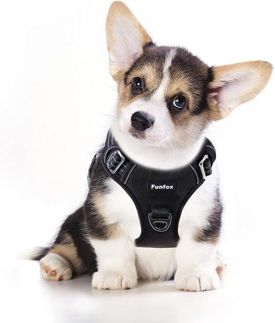 Funfox No Pull Dog Harness Small, Adjustable Dog Vest Harness for Easy Walking with Reflective Strips, Front Clip Easy Control Small Dog Black