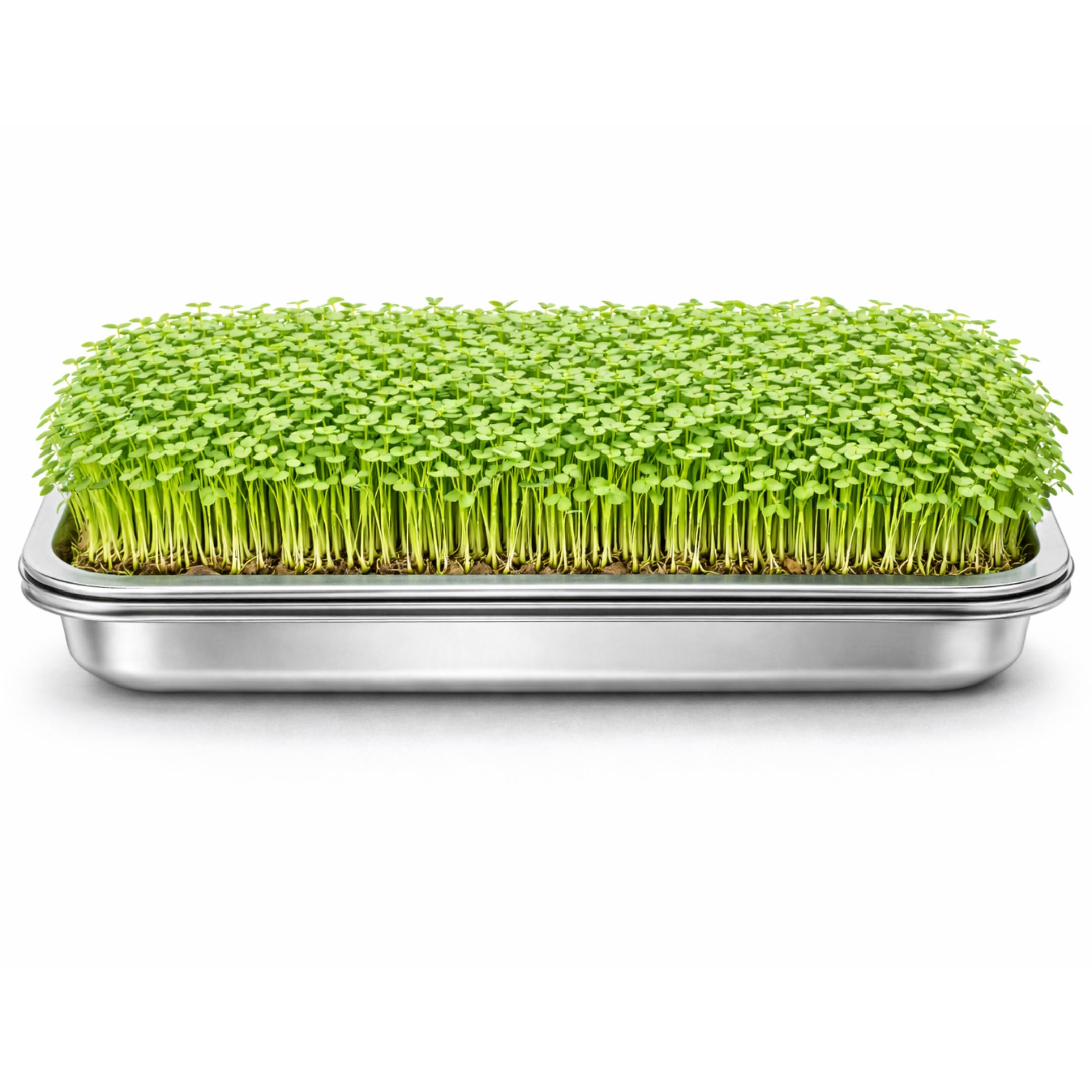 Friendly Fox Microgreens Anzuchtschale aus Edelstahl, 2er Set mit Hanfmatten, Keimschalen für Sprossen und Microgreens, Plastikfrei, 31x21 cm