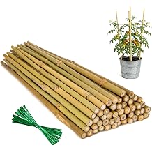 Plant Stakes Natural Bamboo Sticks - 50 Pcs Bamboo Garden Stakes for Plants 18 Inches Plant Support Sticks with Twist Ties for Tomatoes Beans Orchid Flowers Indoor Outdoor Potted Climbing Plants