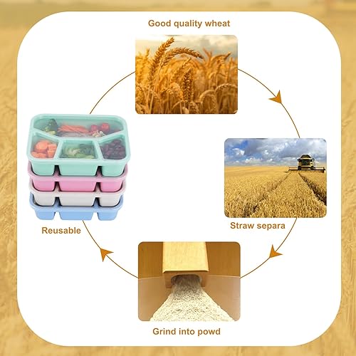 Miniatura 4 de Moretoes Paquete de 4 recipientes para el almuerzo, caja Bento de 4 compartimentos, contenedor de preparación de comidas con tapas transparentes,