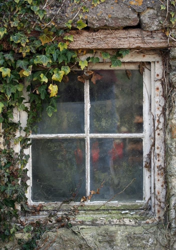 Wallmonkeys WM289174 Old Cottage Window with Ivy Peel and Stick Wall Decals, 18" H x 13" W-Small