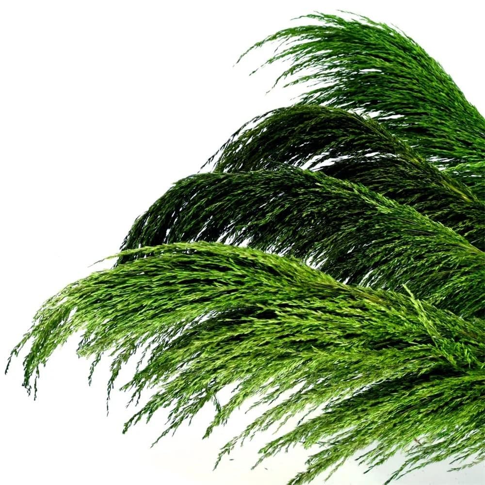 Sztuczna trawa Pampas, Suszona Trawa Pampasowa 80-120cm 3-12 szt(80-120cm-05,3pcs)