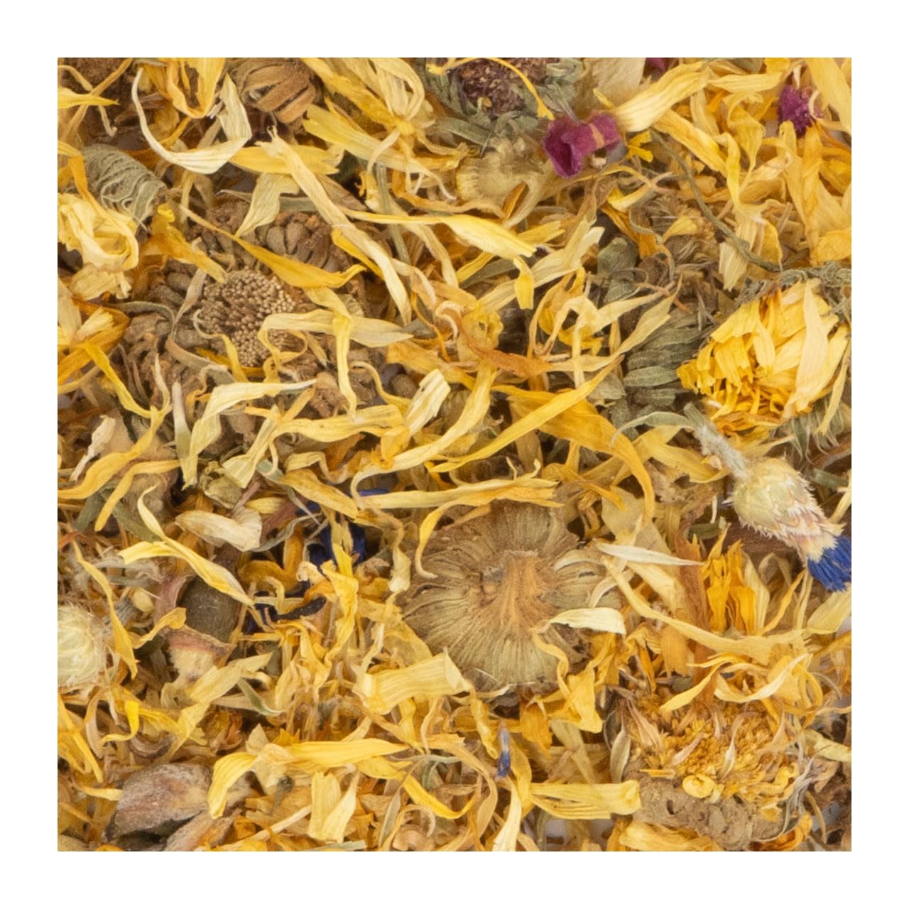 JR Farm Jardín de Flores de Chinchilla 50 g (Paquete de 2)