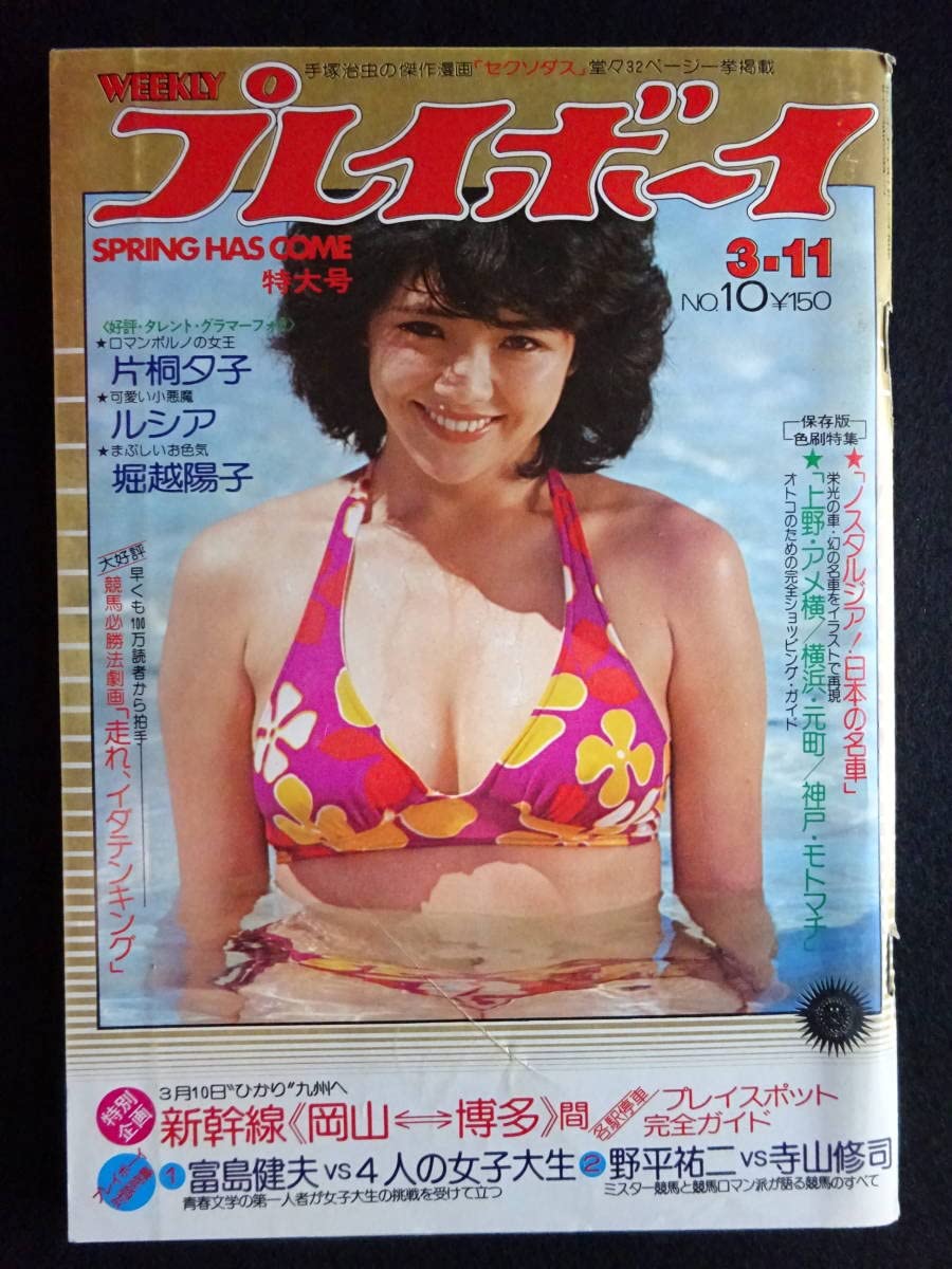 週刊プレイボーイ (1999〜2000 ミレニアム越え３冊) 週刊プレイボーイ (1999〜2000 ミレニアム越え3冊) 週刊