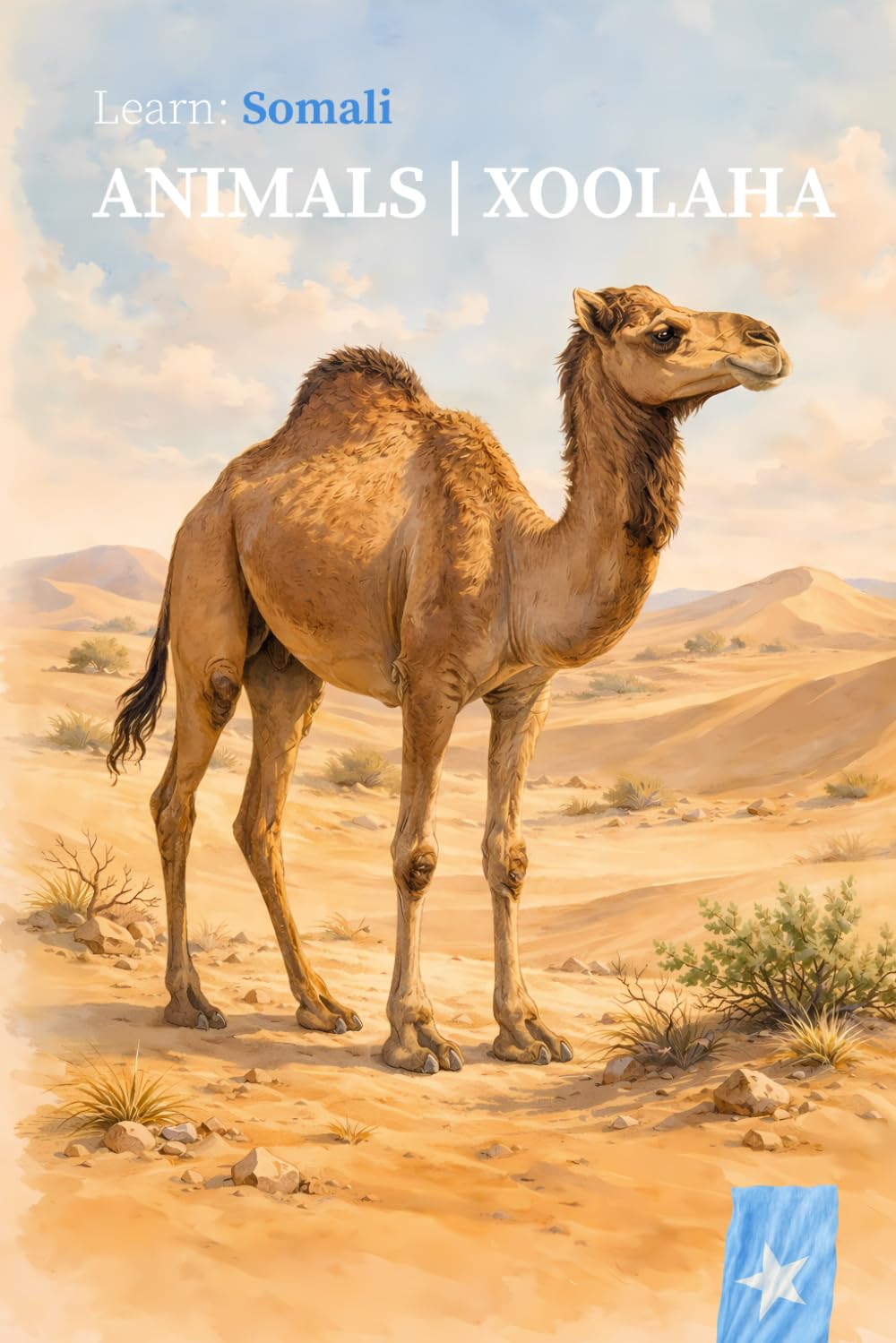 ANIMALS | XOOLAHA: A Bilingual Somali English Picture Book for Children Ages 2-5: 1 (Learn: Somali)