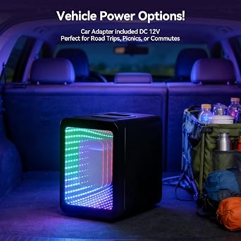 4L RGB LED Mirror Mini Fridge Black, Gaming & Skincare Dual Use, AC/DC Portable Cooler Warmer, Quiet Compact Fridge for Bedroom Gaming Room Office Car