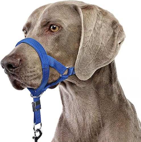 Miniatura 9 de BARKLESS Collar resistente sin tirones para perros medianos y grandes, suave y reflectante con enlace de seguridad, correa de bozal de entrenamiento