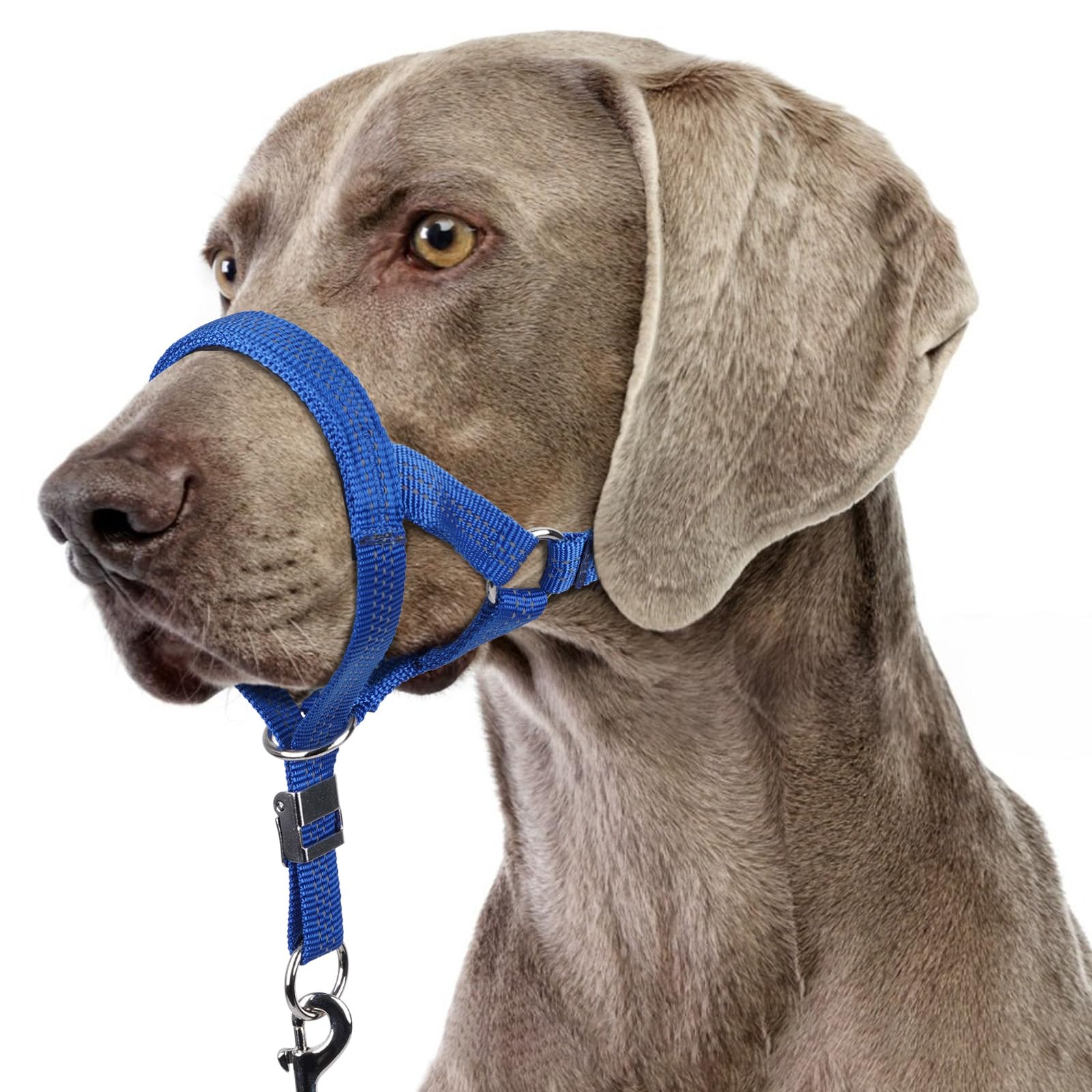 BARKLESS Sturdy No Pull Head Collar for Medium Large Dogs, Gentle Reflective Head Halter with Safety Link, Adjustable Nylon Dog Training Muzzle Leash for Walking Control (Blue, L)