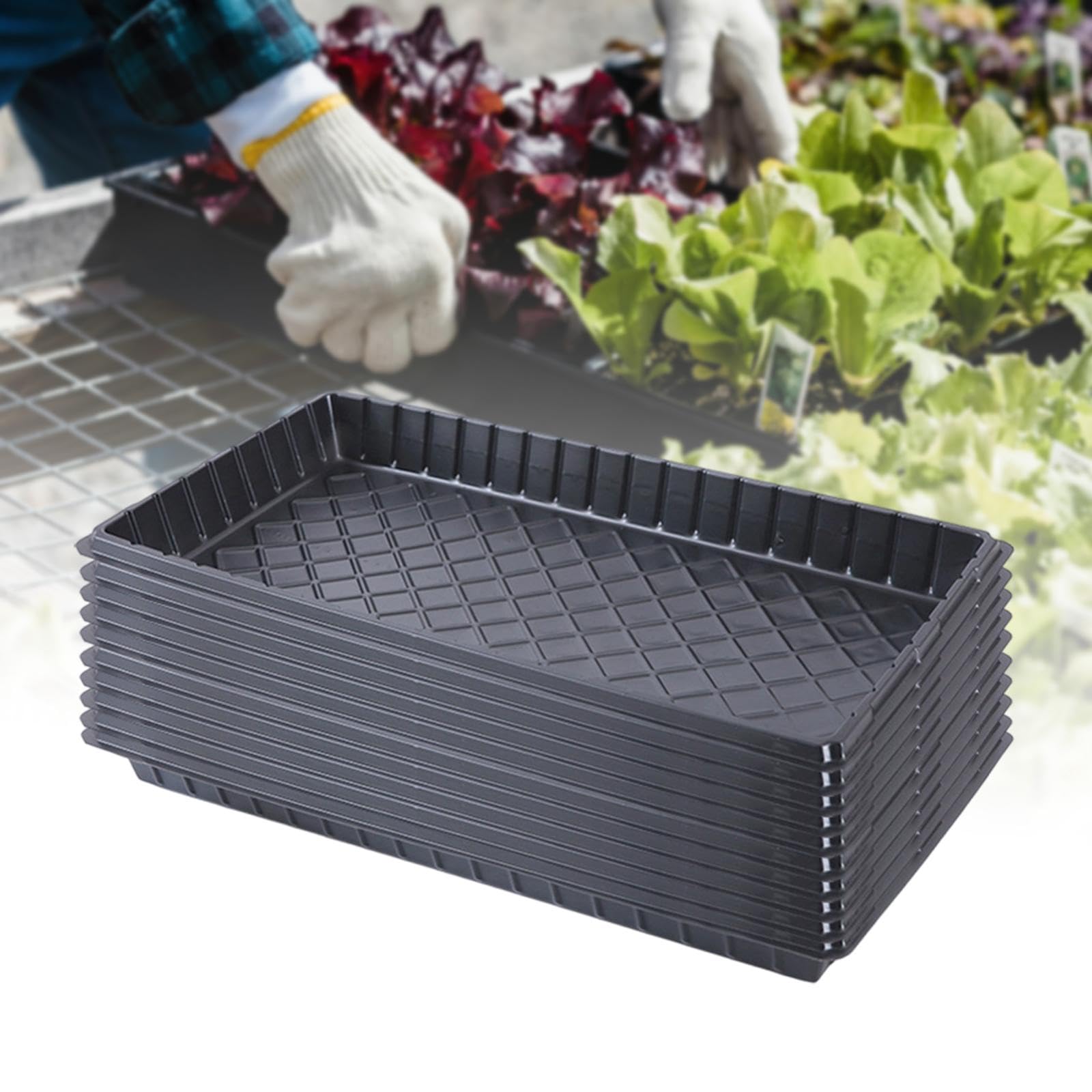 Lot de 10 Plateaux de Semis Réutilisables pour Pépinière, Bac pour Semis, Plateau de Germination, Plateaux de Culture de Graines, Plateaux de Semis de Jardinage et Intérieur, sans Trou