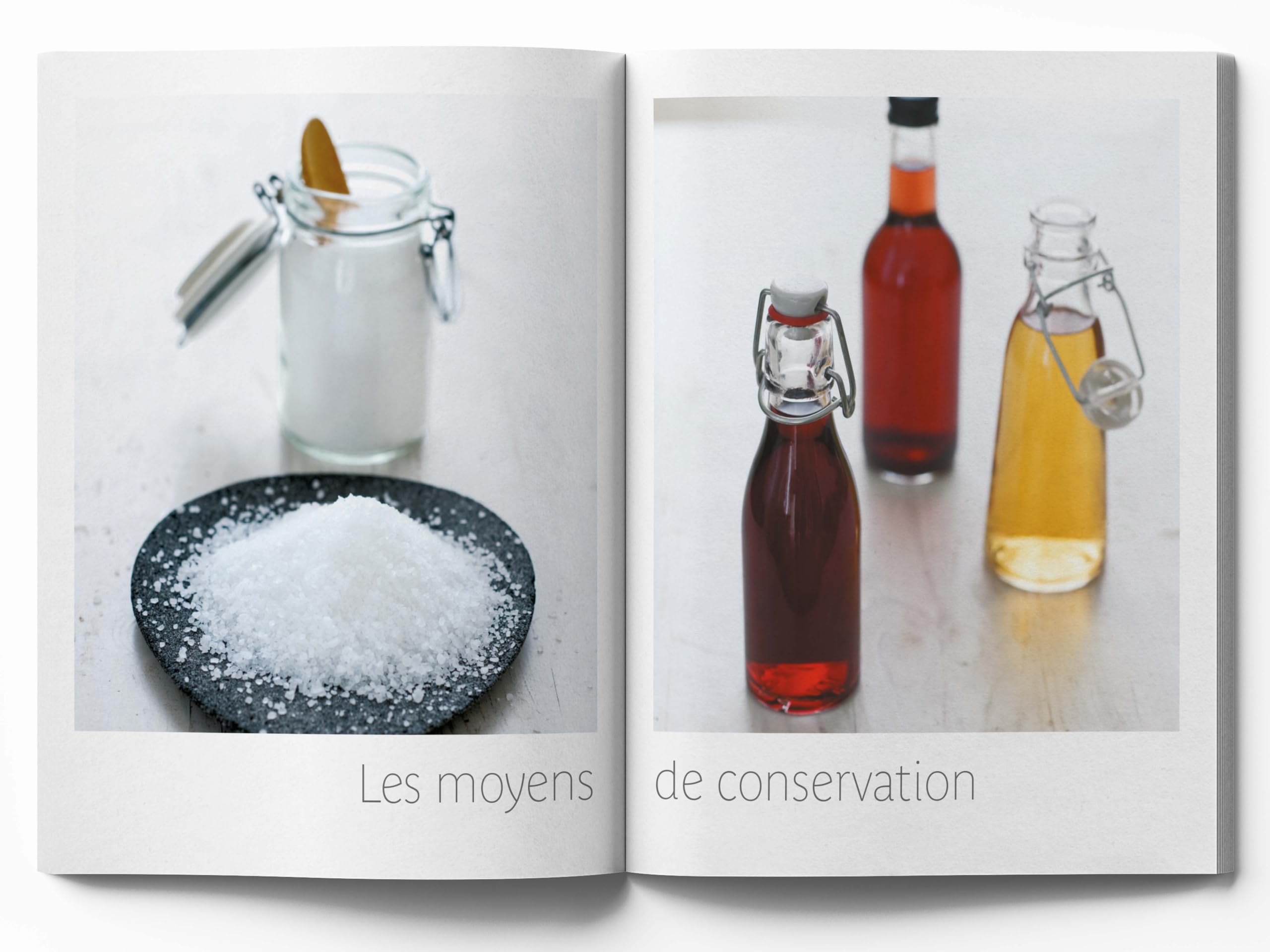 Traité Rustica de la conservation