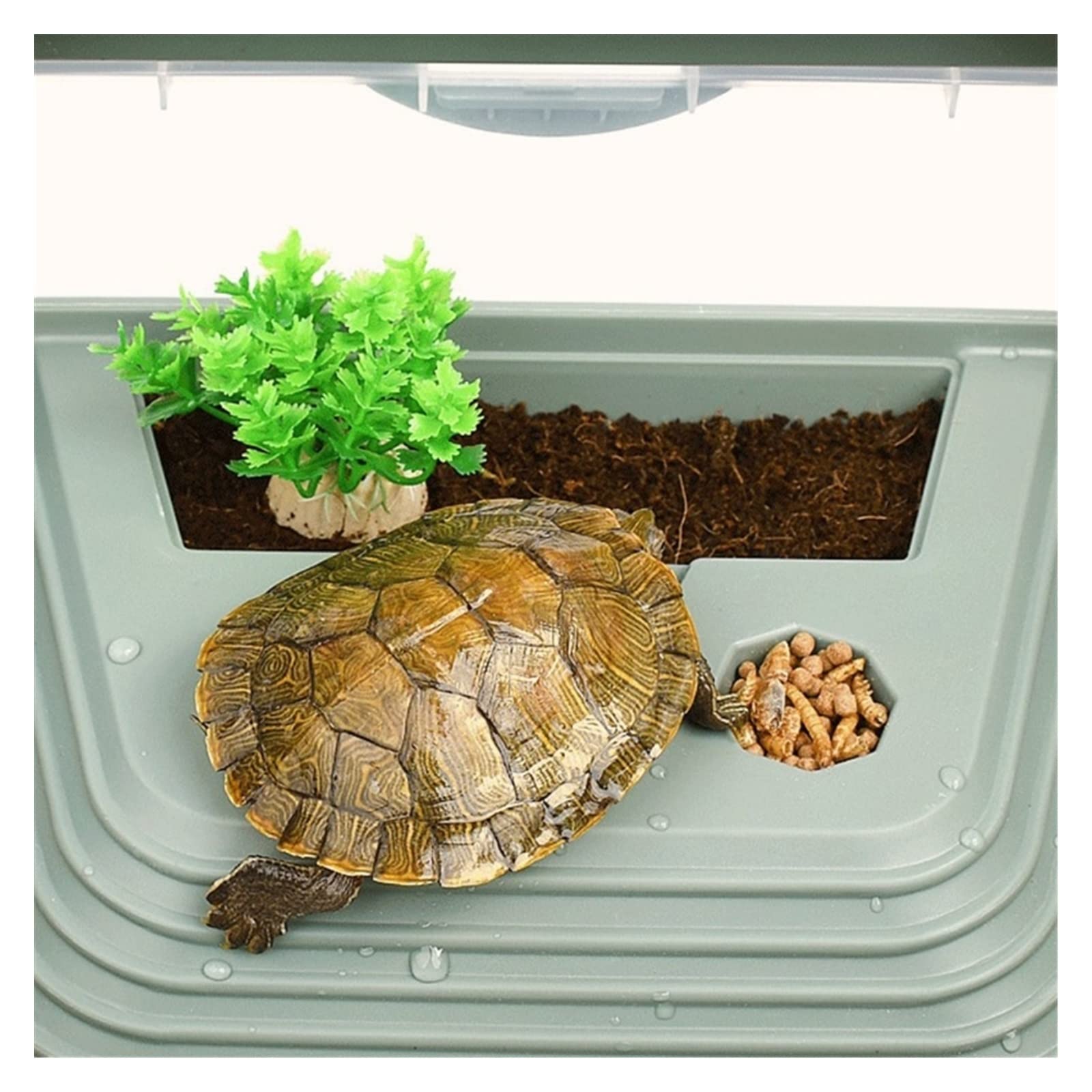 Schildkrötenpanzer Futterbox Kunststoff-Lebensraumhaus mit Schattenhang Schwimmbad Reptilien-Kunststoff-Wassertank Abnehmbares 2-Lagen-Design für drinnen und draußen