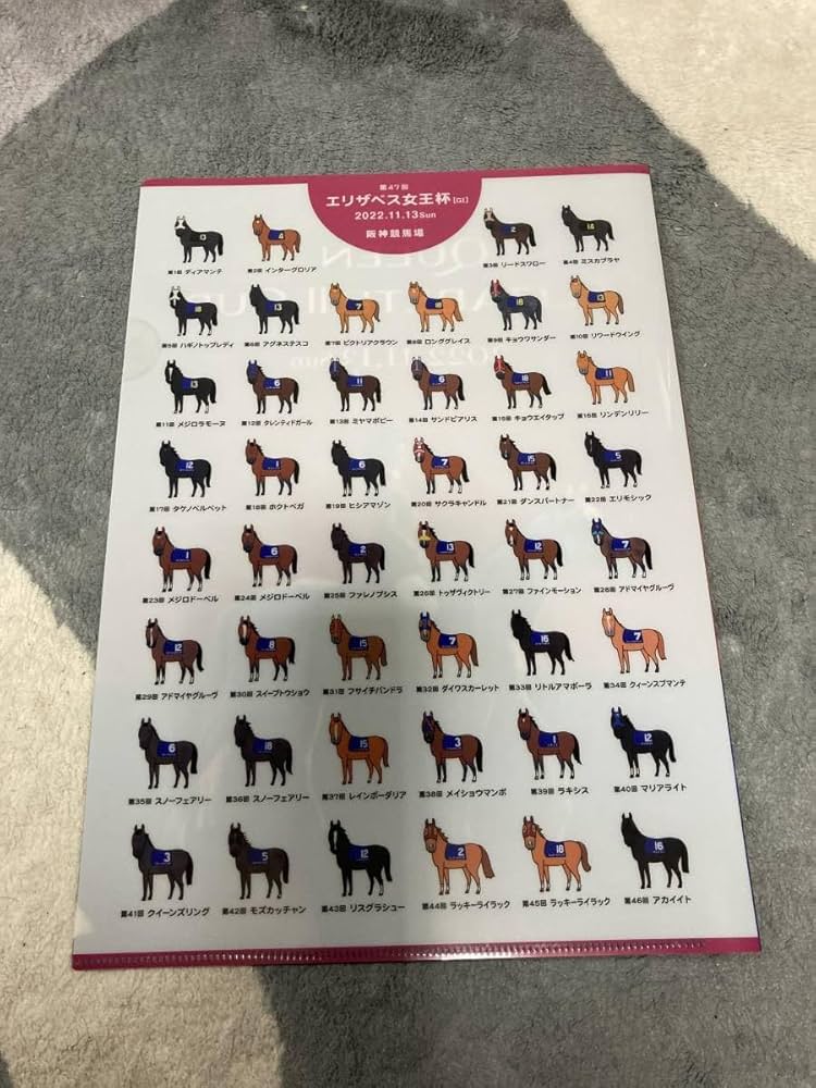 新品未開封　スイープトウショウ　エリザベス女王杯　アバンティー　Ｓサイズ sddefault.jpg