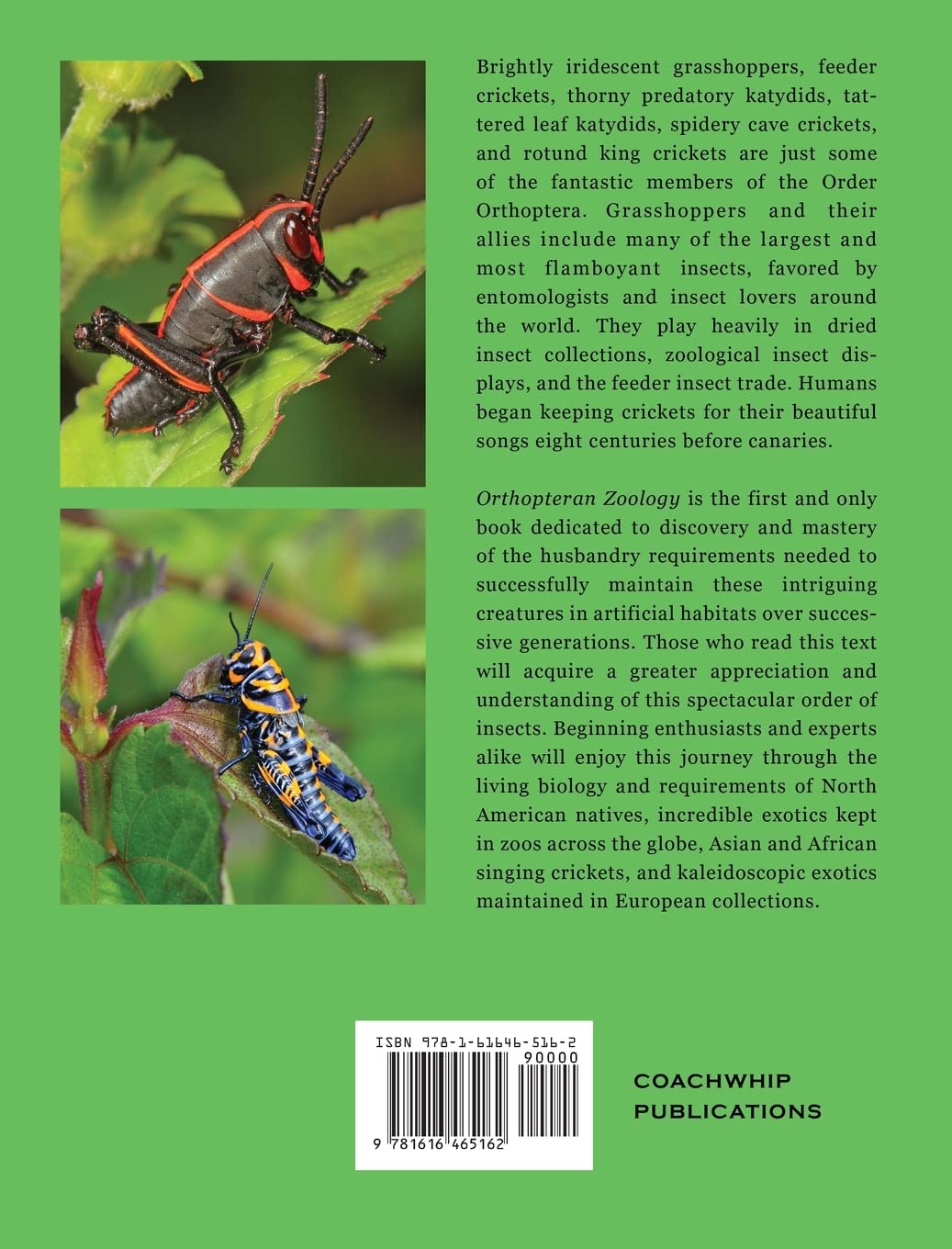Orthopteran Zoology: How to Keep Grasshoppers, Crickets, and Katydids