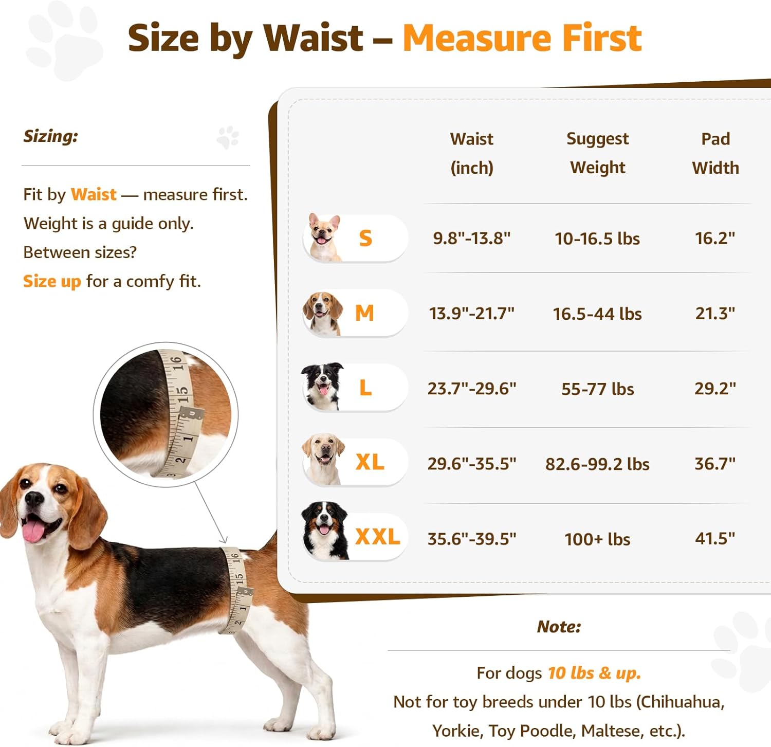 Adjustable Dog Lift Harness, Dog Sling for Large Dogs Hind Leg Support, Soft Lift Support Helps Senior, Injured, Disabled and After ACL Surgery Dogs-Black & Grey (Medium)