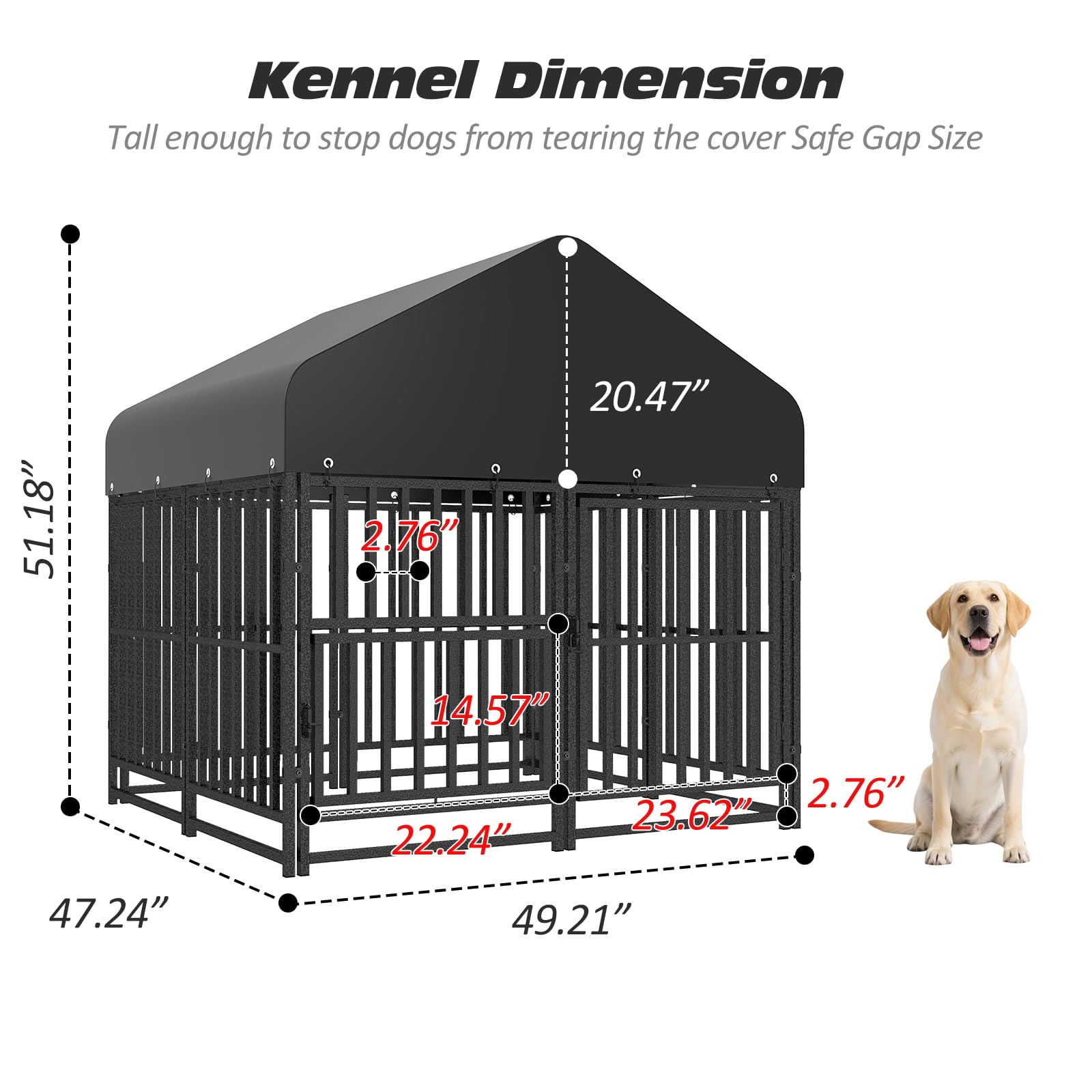 Amazon.co.jp: PANTAZO 小型犬小屋 屋外 ダブルセーフティロック付き