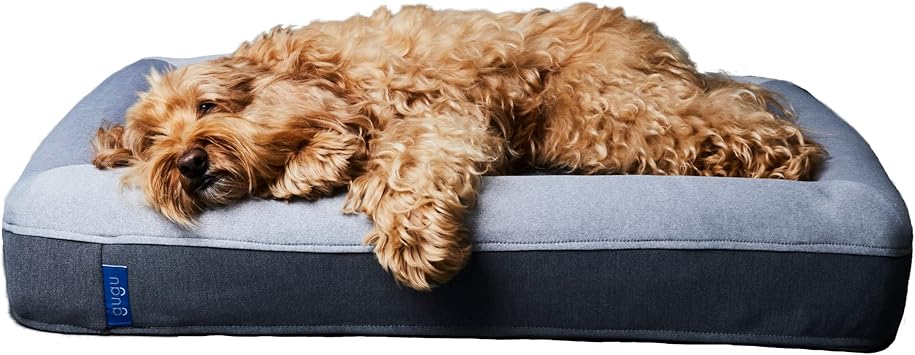 Amazon グーグースリープ 犬 ペット ベッド スモール Guguドギー 洗える 人間工学 低反発 高反発 耐久性 ふわふわ ひんやり クッション おしゃれ Gugu Sleep グーグードギー グーグースリープ ペット用品 通販 Amazon グーグースリープ 犬 ペット ベッド スモール Guguドギー 洗える 人間工学 低反発 高反発 耐久性 ふわふわ ひんやり クッション おしゃれ Gugu Sleep グーグードギー グーグースリープ ペット用品 通販