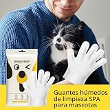 Ver la foto 8