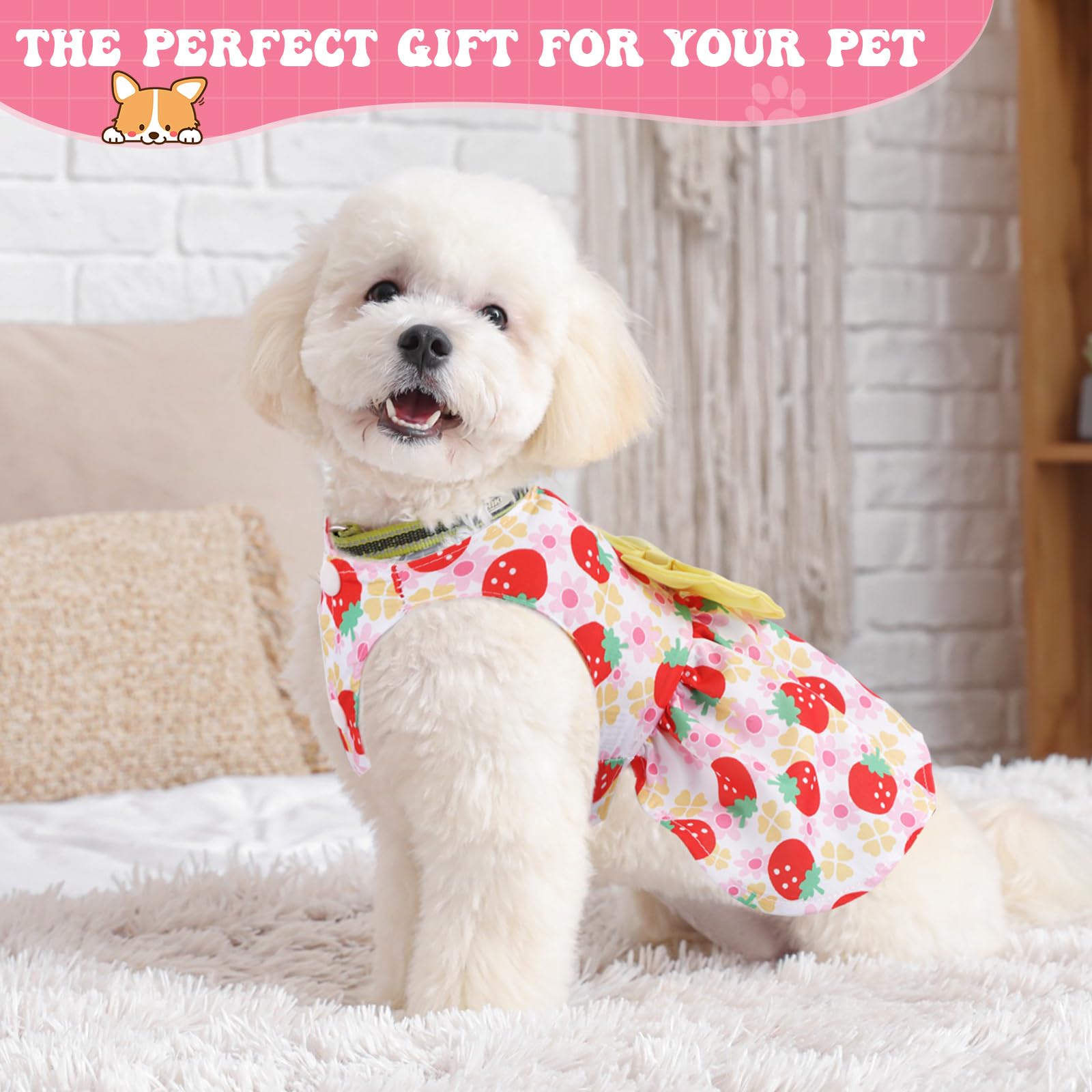 Amazon.com : Saintrygo 5 Pieces Dog Dresses for Small Pet Girls Floral Puppy  Dresses Dog Princess Bowknot Dress Cute Summer Outfits Cat Clothes for  Female Cat Small Pets, 5 Styles(S) : Pet Supplies